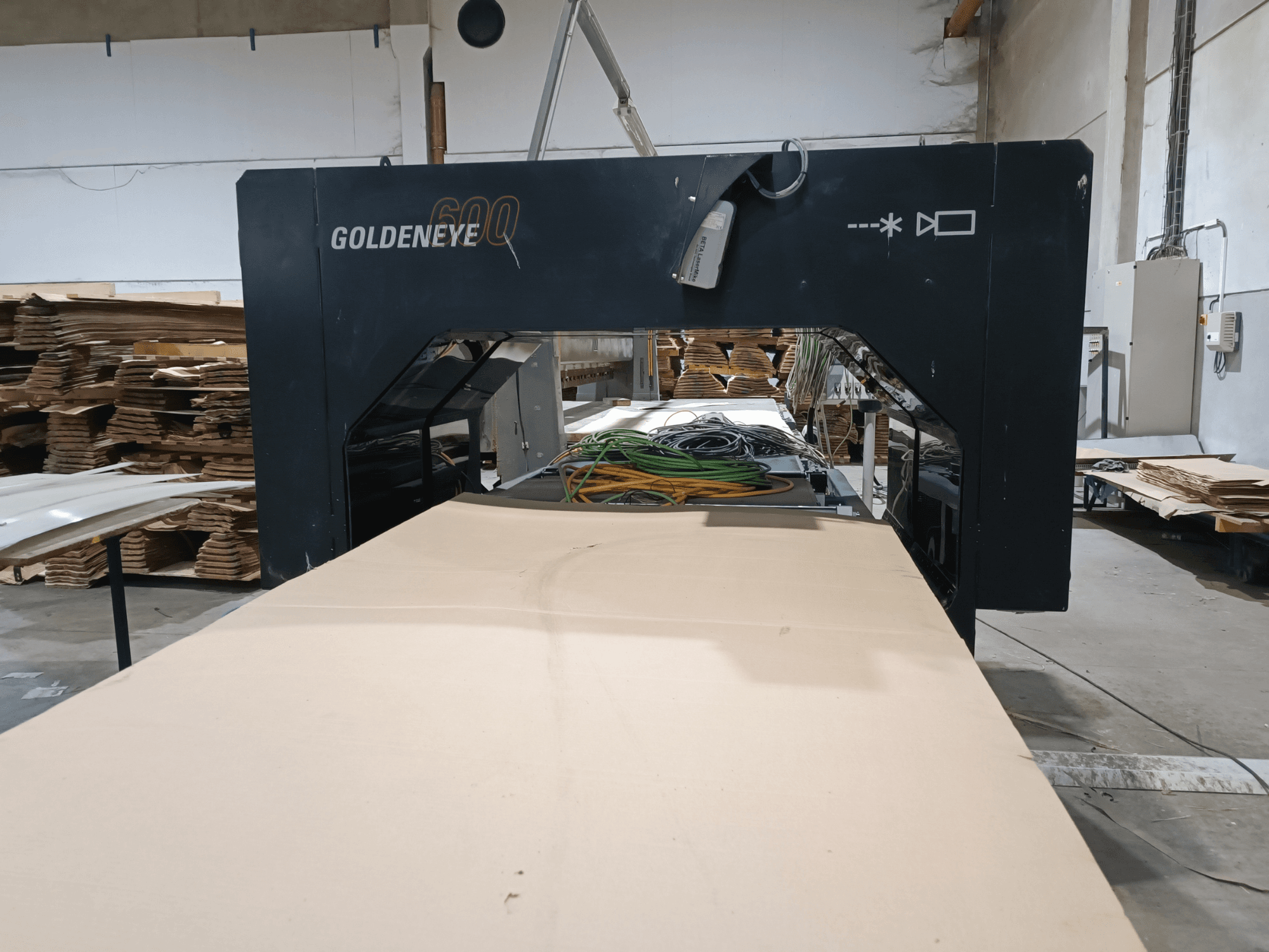Microtec GOLDENEYE GLD 600 DSC houtbewerkingsmachine vooraanzicht, met groot zaagoppervlak en uitrusting in een werkplaats.